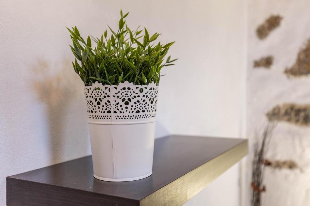 Eden Ecologico En Casa La Fuentita Appartement El Charco  Buitenkant foto